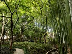 -汇龙潭