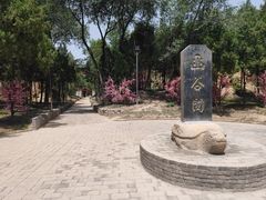 -函谷关历史文化旅游区