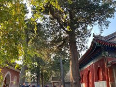 -承恩寺