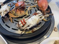 -半岛听涛蒸汽海鲜自助(K11店)