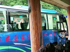 -牛背梁国家森林公园