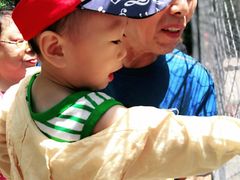 -长白岛森林公园