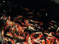 -顺德了能馆(虎门店)