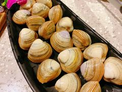 白蚬子-吉力烤鳗