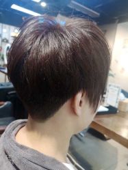 -魔型社