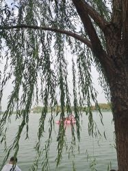 -玄武湖景区-情侣园游乐场