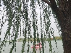 -玄武湖景区-情侣园游乐场