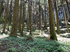 -上色见熊野座神社