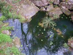 -泽雅七瀑涧景区