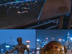 -星光大道