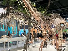 -国家自然博物馆