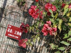 -红螺寺
