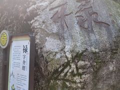 -天鹿湖森林公园