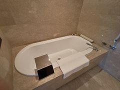 -广州白天鹅宾馆