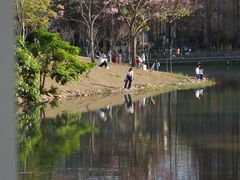 -四海公园(南山区)