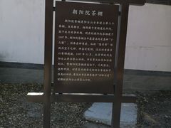 -阳台山自然风景区