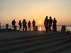 -宝安西湾红树林湿地公园