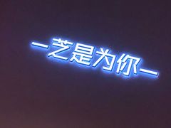 -狐狸和向日葵(北京路店)