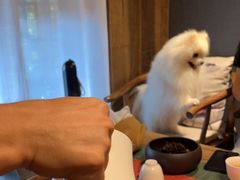 -邈墨茶馆(大兜路1号店)