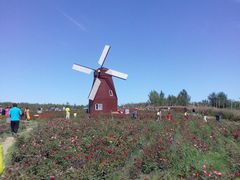 -北纬44度·金珠花海休闲农业旅游景区