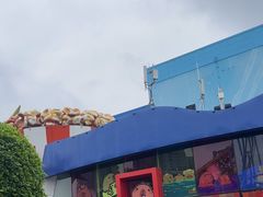 -成都欢乐谷