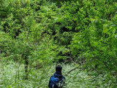 -南山风景名胜区