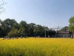-北坞公园