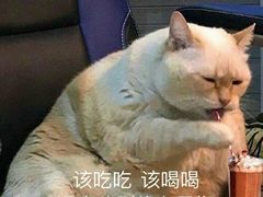 -九田家黑牛烤肉料理(二天地店)