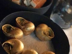 金蜗牛-金蜗牛