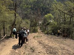 -青龙山国家森林公园