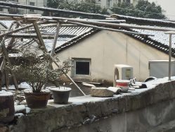 -红馆·发喆院