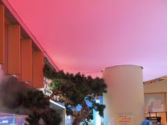 -桂满陇·蟹黄小笼汤包(中山公园店)