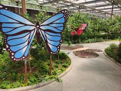 -南宫五洲植物乐园