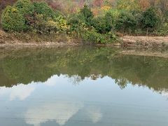 -南京市无想山景区