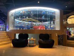 -皇室假期美食水疗会(春风路店)