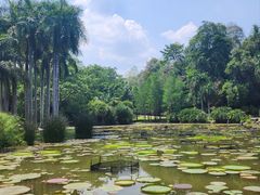 -中国科学院西双版纳热带植物园