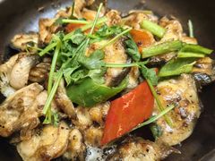 -南沙辉记烧鸡·荔枝木炭火吊烧(旧镇店)