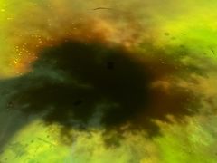 -房山世界地质公园博物馆