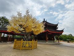 -广东圆玄道观