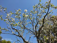 -昆山城市生态森林公园