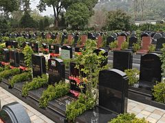 -武汉大学人民医院(首义院区)