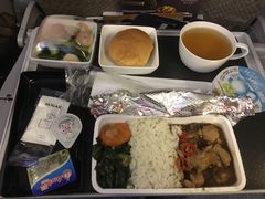 -新加坡航空公司(ION)