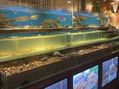 -喜庭海鲜自助(来福士店)