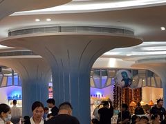 -帝企鹅自助餐厅•儿童岛•真企鹅(长隆企鹅酒店)