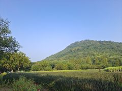 -八卦田遗址公园