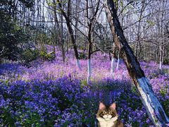 -幕燕滨江·长江观音景区