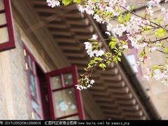 -武汉大学-樱园