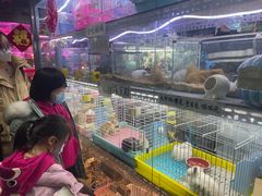 -花鸟鱼虫鲜花绿植市场(玉泉路店)