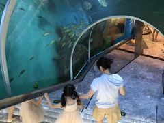 -瑞德姆美人鱼海底演艺主题餐厅(亚龙湾店)