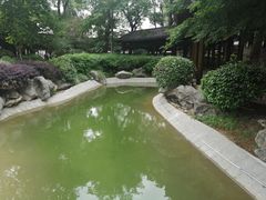 -绳金塔